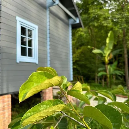 Dream House Villa Batumi Exterior photo