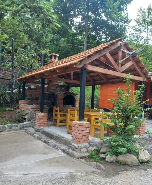 Dream House